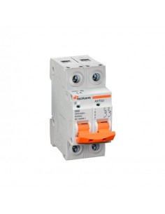Roker Rxt0225  Termica Din Bip  25a. 2